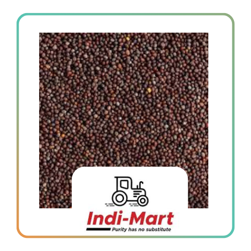 INDI MART - Black mustard seeds 100gms